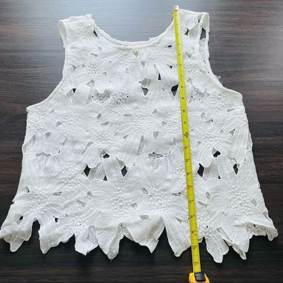 Caution the the Wind White Appliqué Crop Top - Picture 10 of 14